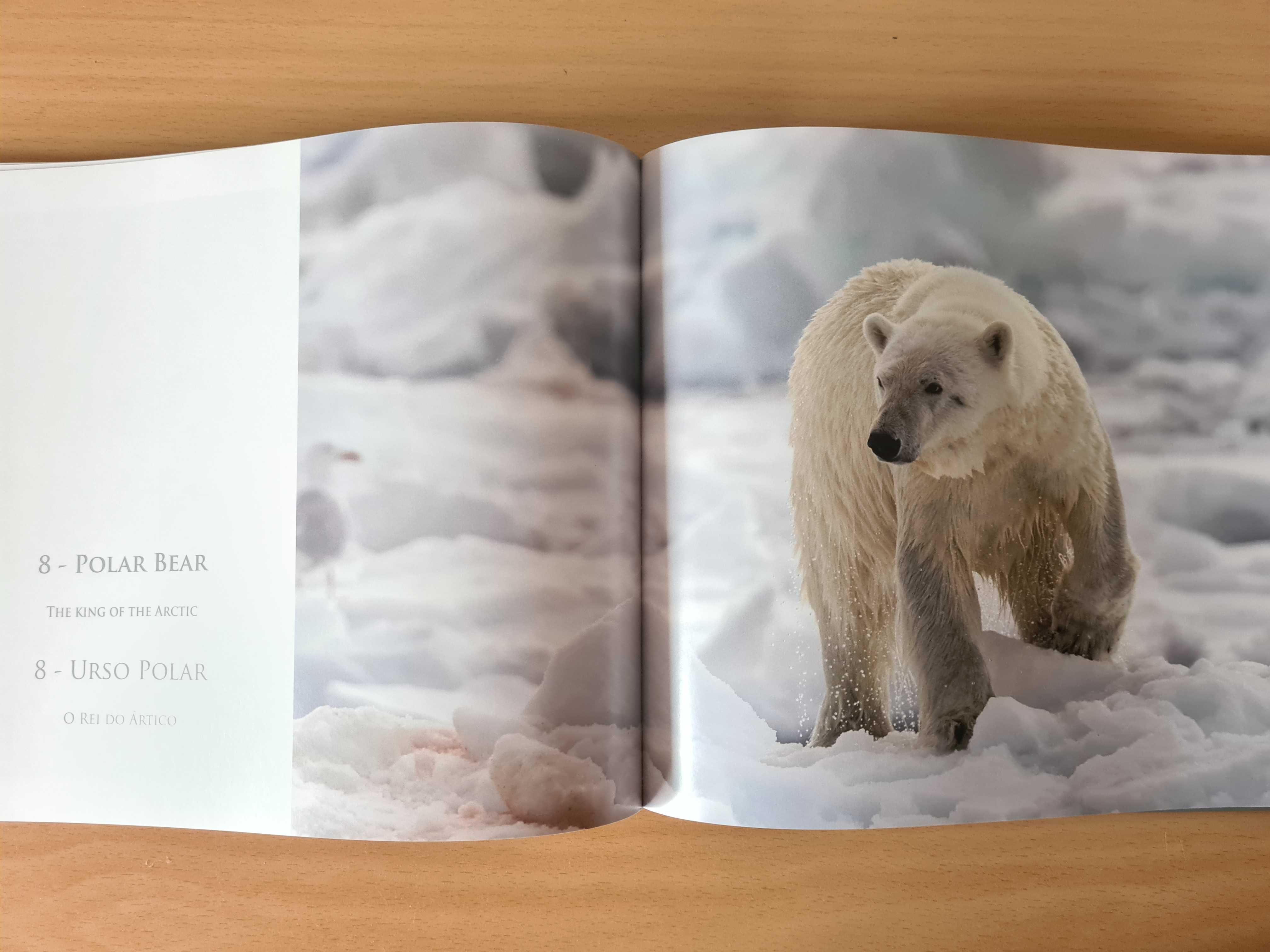 Book "The Final North Pole the Final Meltdown", by Pedro Rego