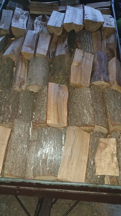 Drewno opałowe dąb