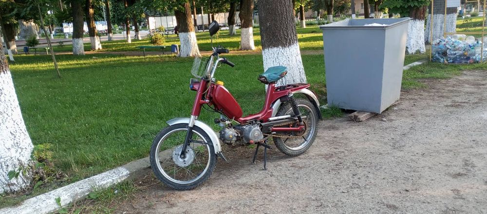 Малагутик Італія