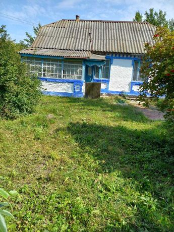 Хата в селі Вишневе, Ружинської ТГ, Житомирської області