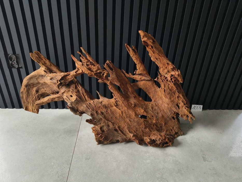 Korzeń MANGROWCA XXL 1004 akwarium terrarium 100x55x28 Unikat Duży