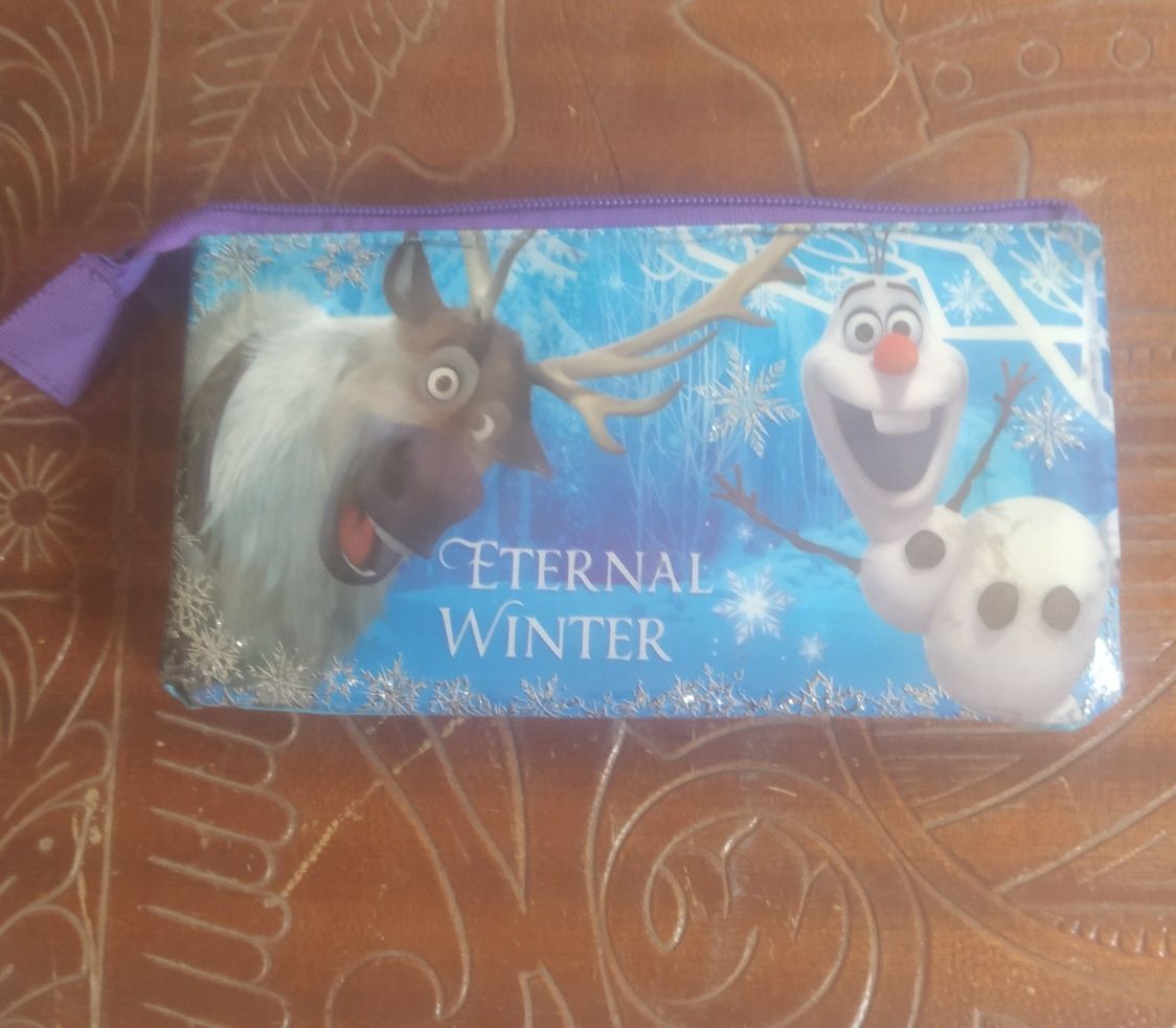 Estojo da Frozen