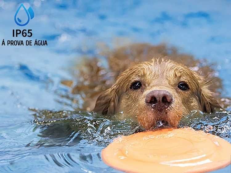 Coleira anti latido para cães com bateria recarregável