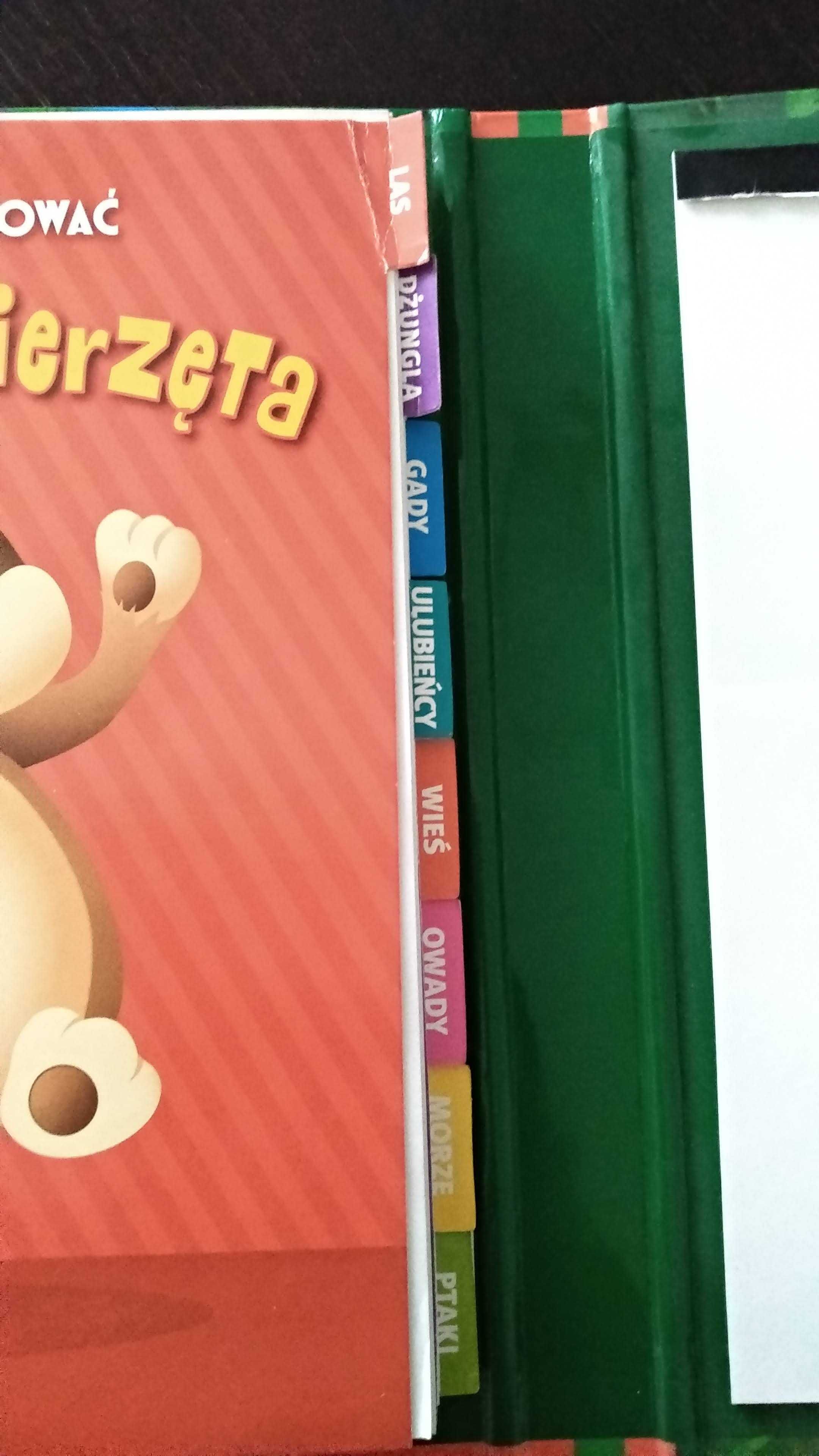 Jak rysować zwierzęta. Zabawne rysunki dla dzieci w każdym wieku