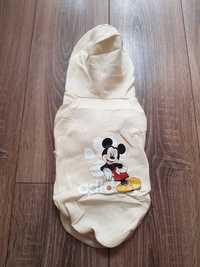 Beżowa bluza z kapturem dla psa Myszka Miki Mickey Mouse Adidog Disney