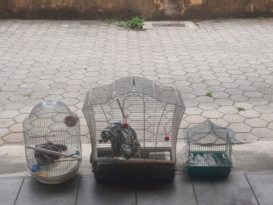 Gaiolas para passaros