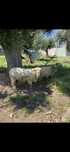 Vendo carneiro Suffolk