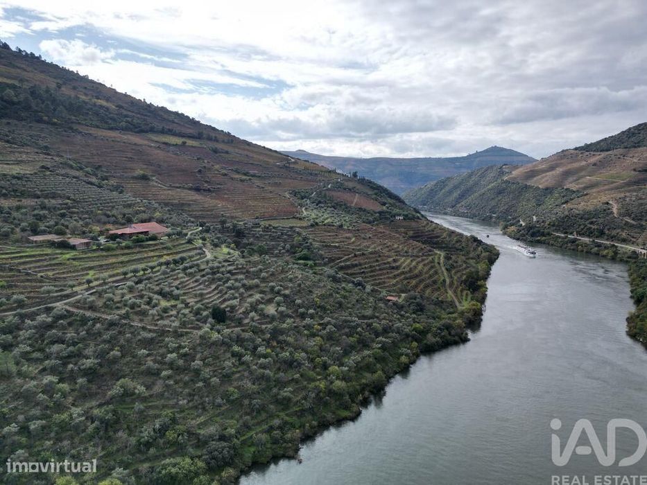 Quinta T4 em Ervedosa do Douro de 1720,00 m2