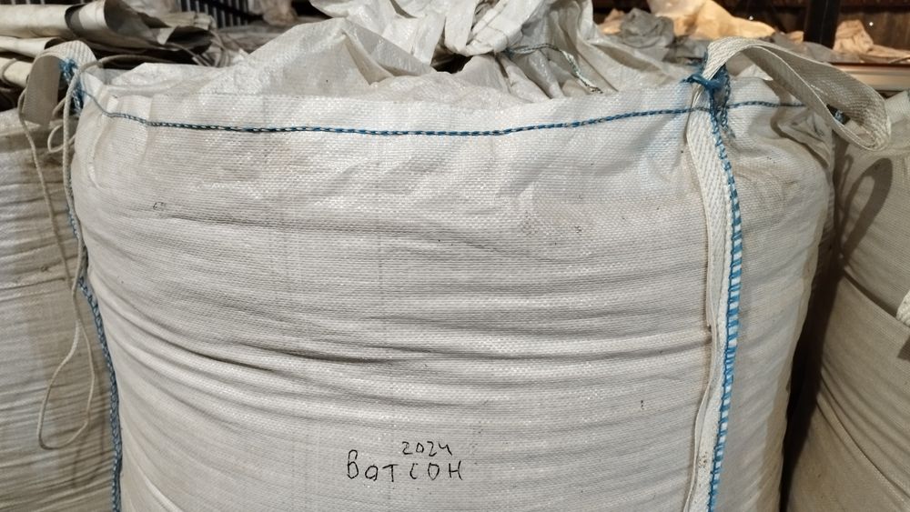 Соя Ватсон ультрарання