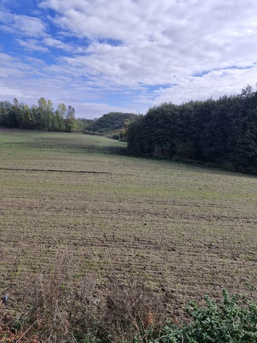 Sprzedam działkę budowlaną Nowe Proboszczewice