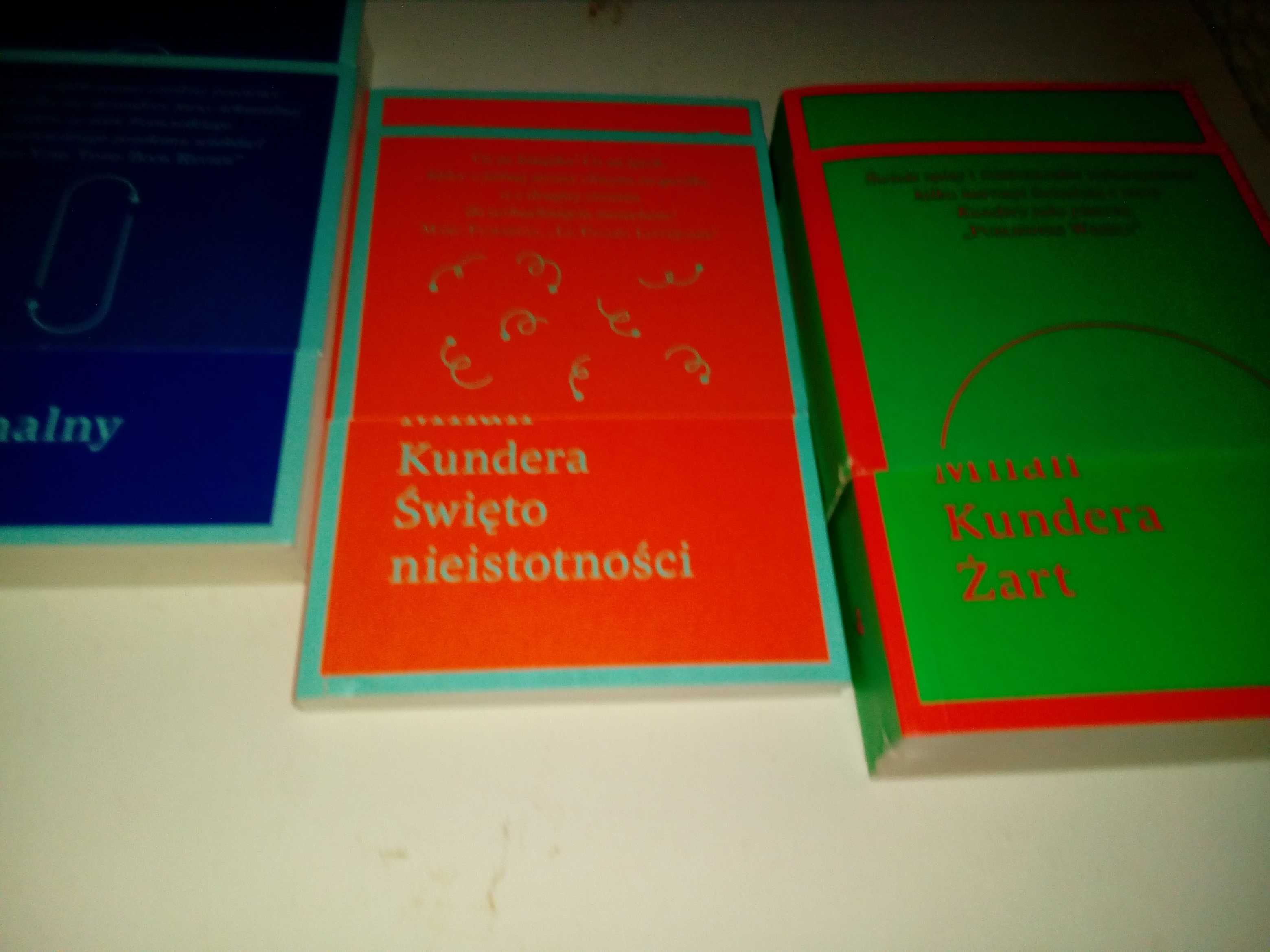 M. Kundera - Żart, Święto nieistotności