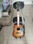 Viola acústica de 12 cordas