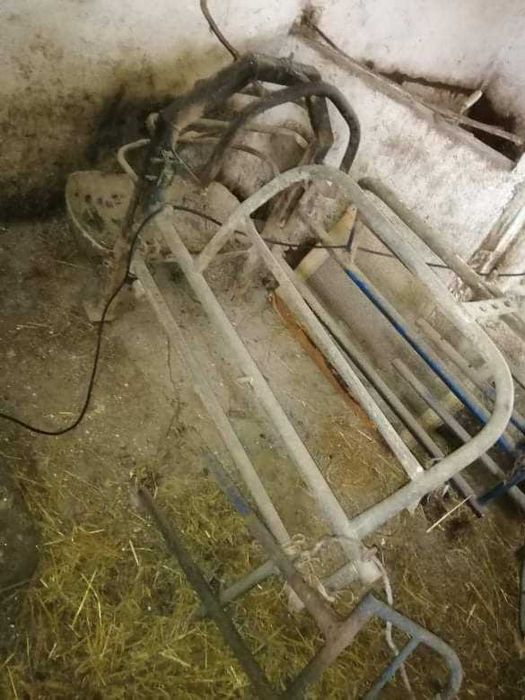 Kojec porodowy dla świń