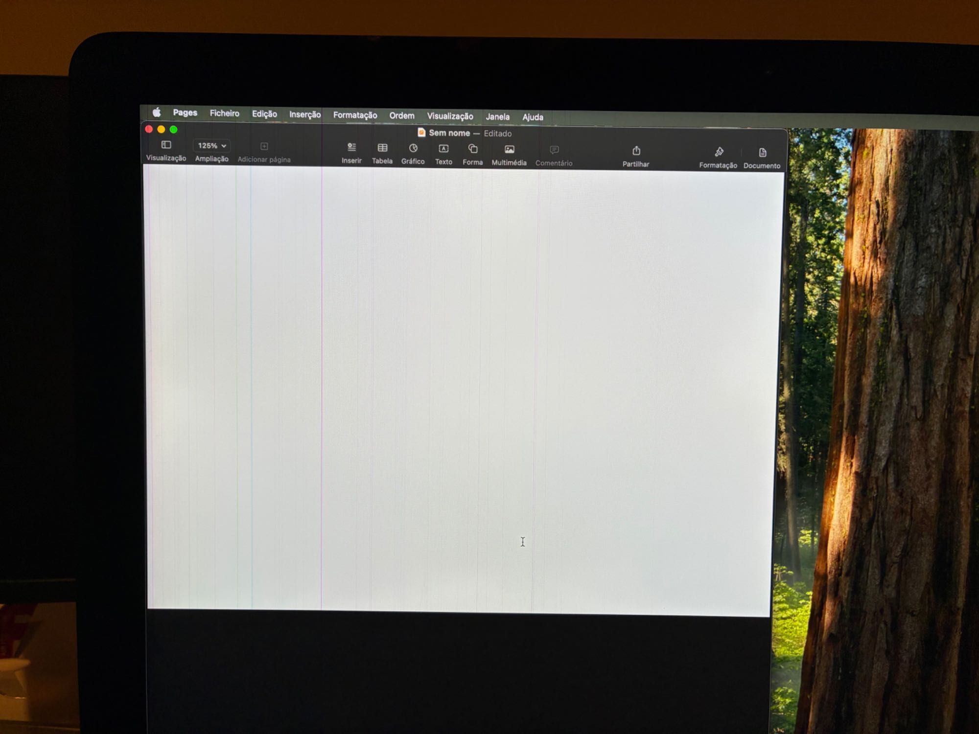iMac Retina 4K 21,5" 2019 - 1TB - Defeito no Ecrã