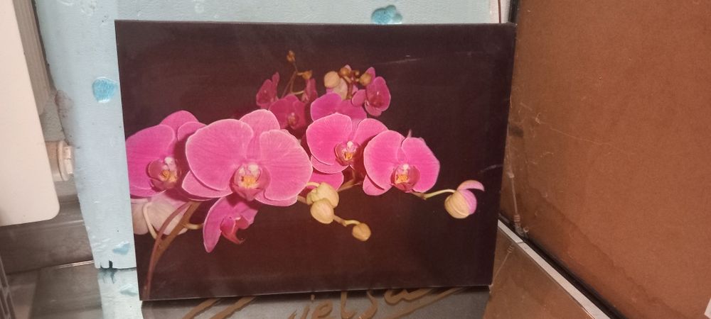 Quadros e impressões em tela