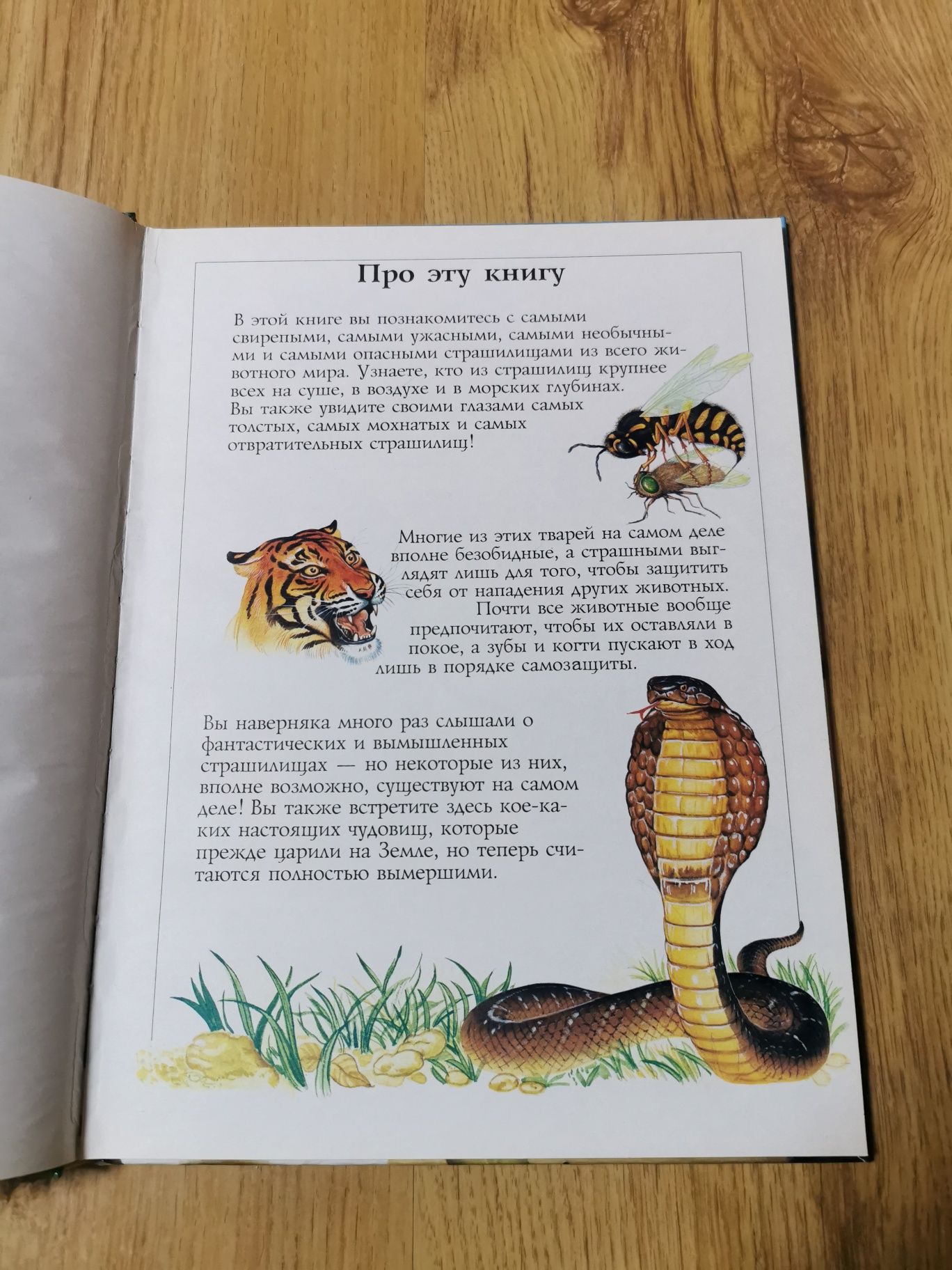 "Животные. Страшилища и малютки". Детская энциклопедия. 1995 год.