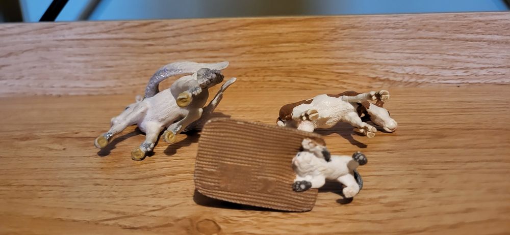 Schleich zestaw 3 figurek cielę kotek młody pegaz