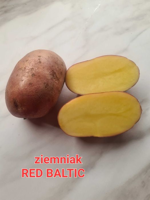 Ziemniaki jadalne
