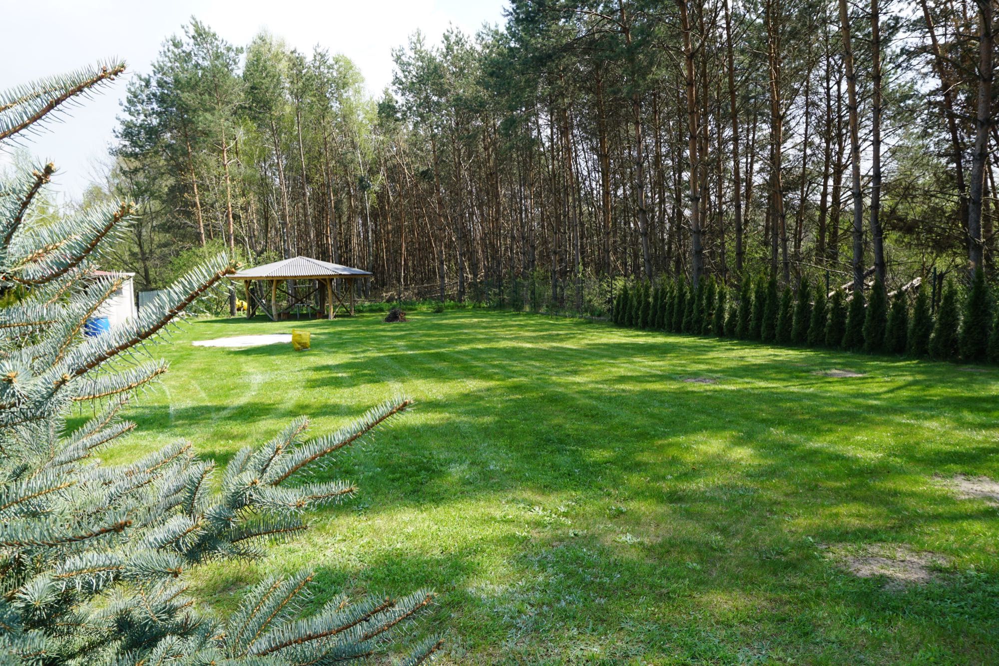 Działka rekreacyjna- ogrodzona, z własnym lasem, gotowa do budowy domu