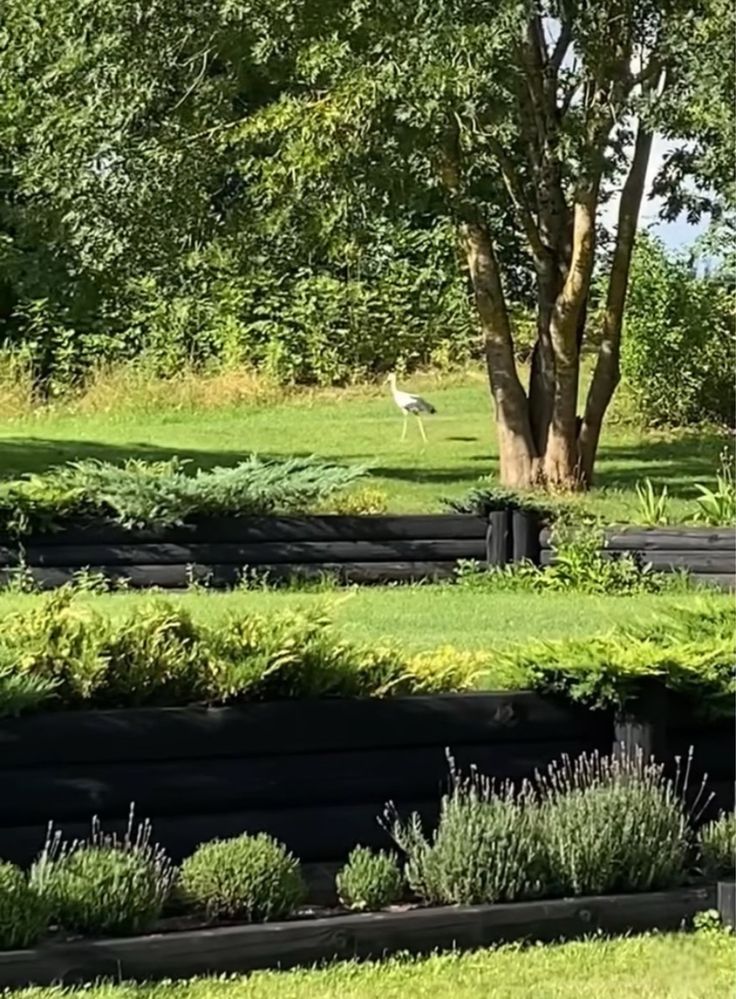Zakładanie trawników, usługi glebogryzarką - Węgorzewo i okolice