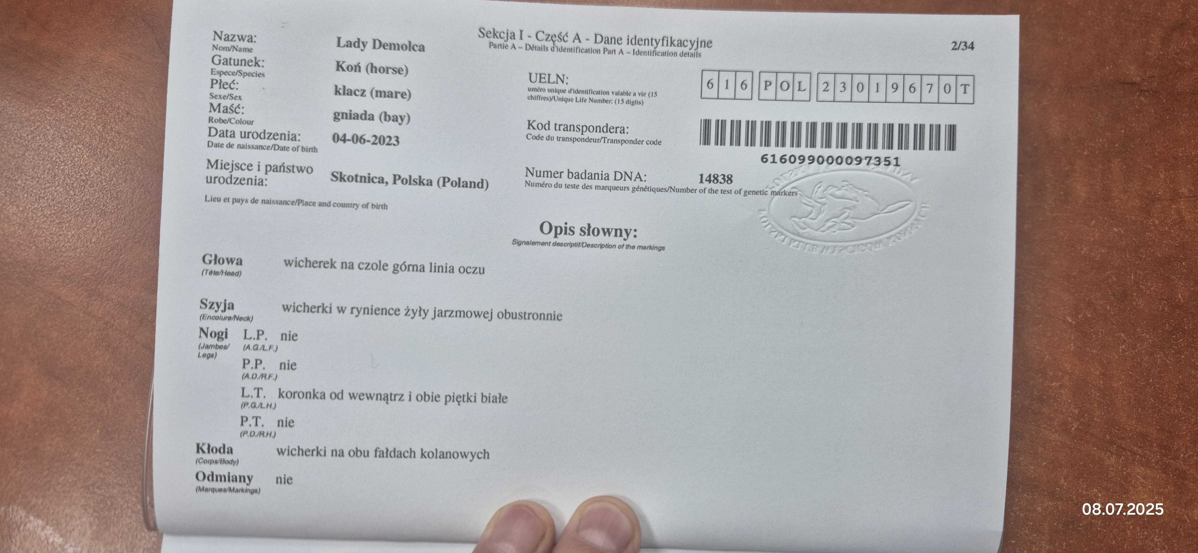 Sprzedam Klacze para matka i córka