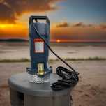 Насос дренажний KENLE QDX\P-210 для відкачування брудної води 1,1 кВт