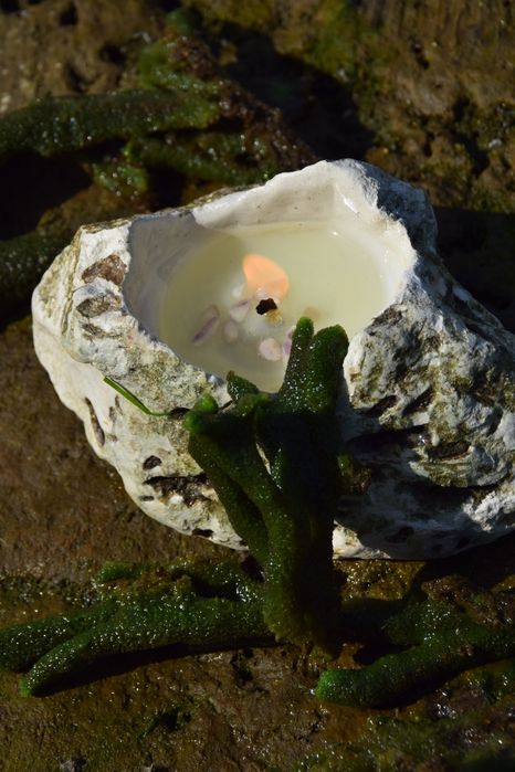 Прод Продам грецький свічка масажна
Збір цього року з 2 дерев 
І велик