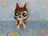 Littlest Pet Shop LPS DOG niemiecki #817 oryginalny