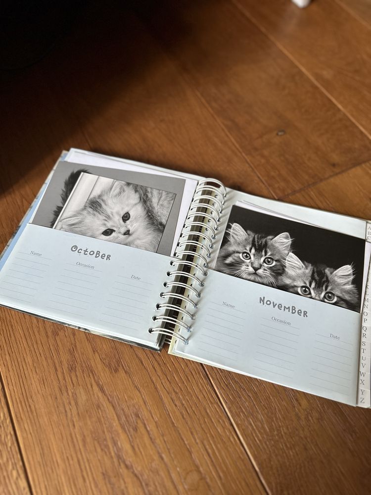 Papeteria Album Segregator Koty Kartki Okolicznościowe Koperty
