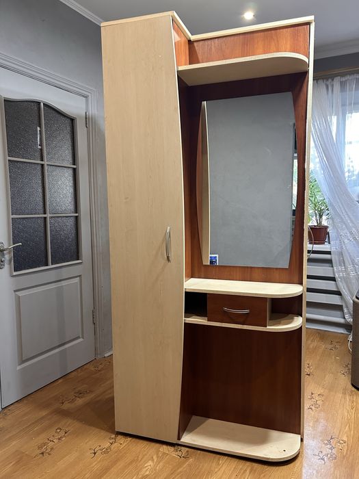 Шафа для коридору вмістка