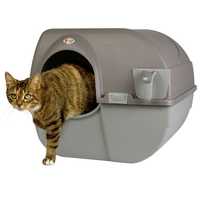 NOVAMENTE Diponível! Wc Omega Paw roll Casa de banho para Gato