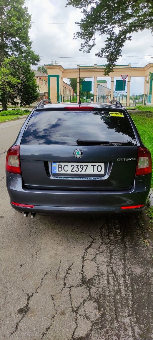 Легкові автомобілі Шкода октавія А5
