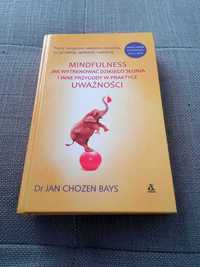 Mindfulness Jak wytrenować dzikiego słonia Jan Bays Chozen
