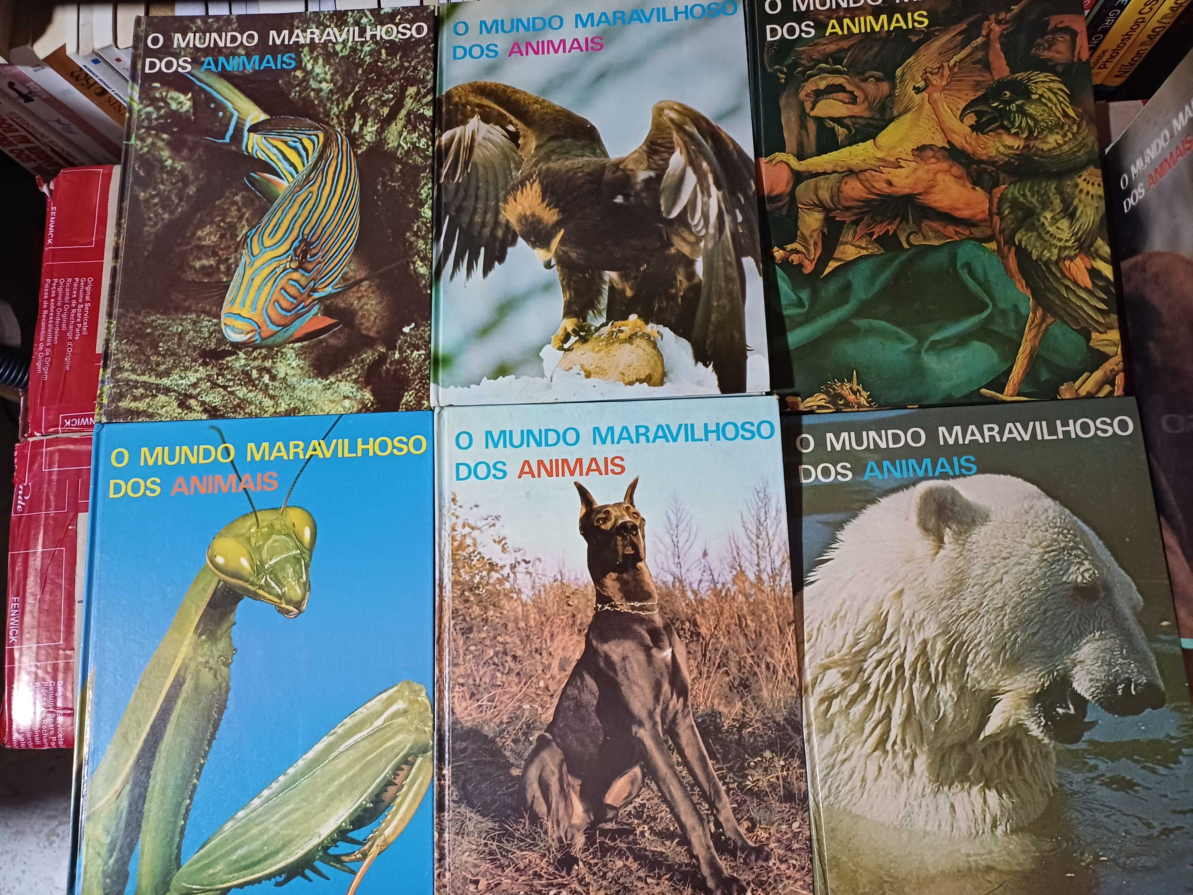 O mundo maravilhoso dos animais 6 volumes e caixa