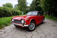 Triumph TR5 Triumph TR5 po kompleksowej renowacji, 1 z 2947 sztuk