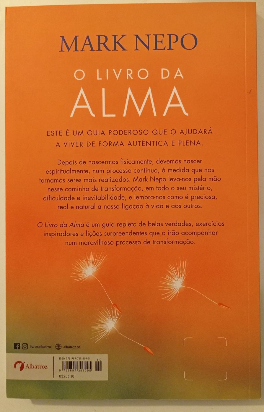 O Livro da Alma - Como criar um caminho para a transformação