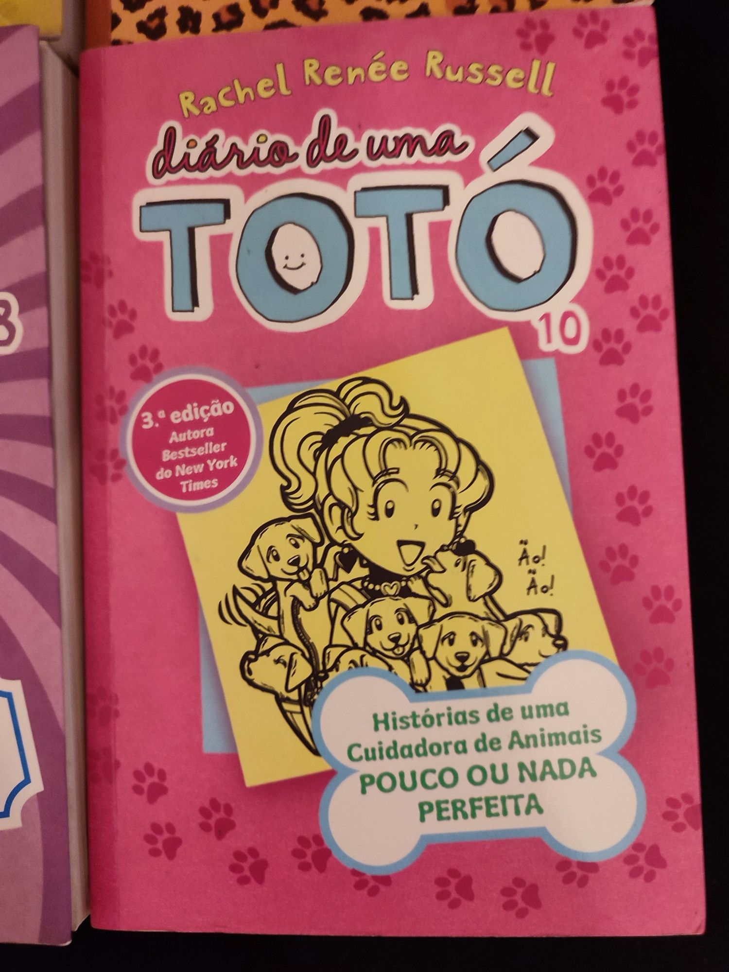 Diário de uma Totó (SÓ AGORA EM PROMOÇÃO)