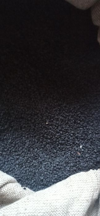 Семена /Насіння лука  цибулі ціна залежить від Об'єму