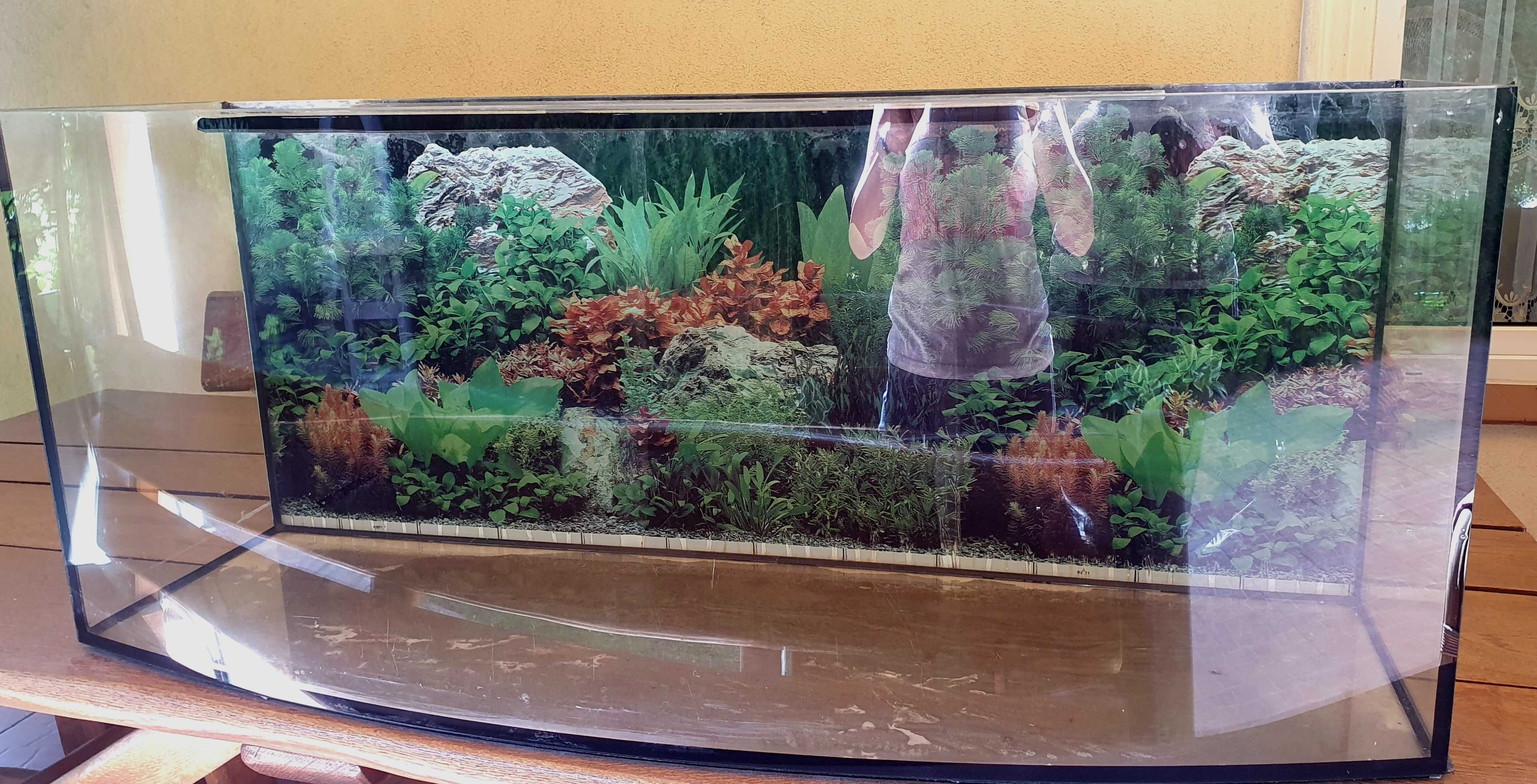 Akwarium terrarium profilowane 120 cm x 40 cm x 50 cm szkło typu float