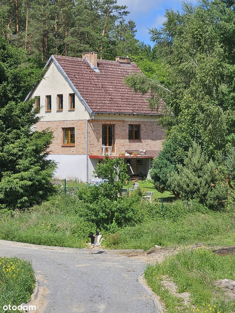 Unikalny dom dla ceniących walory natury