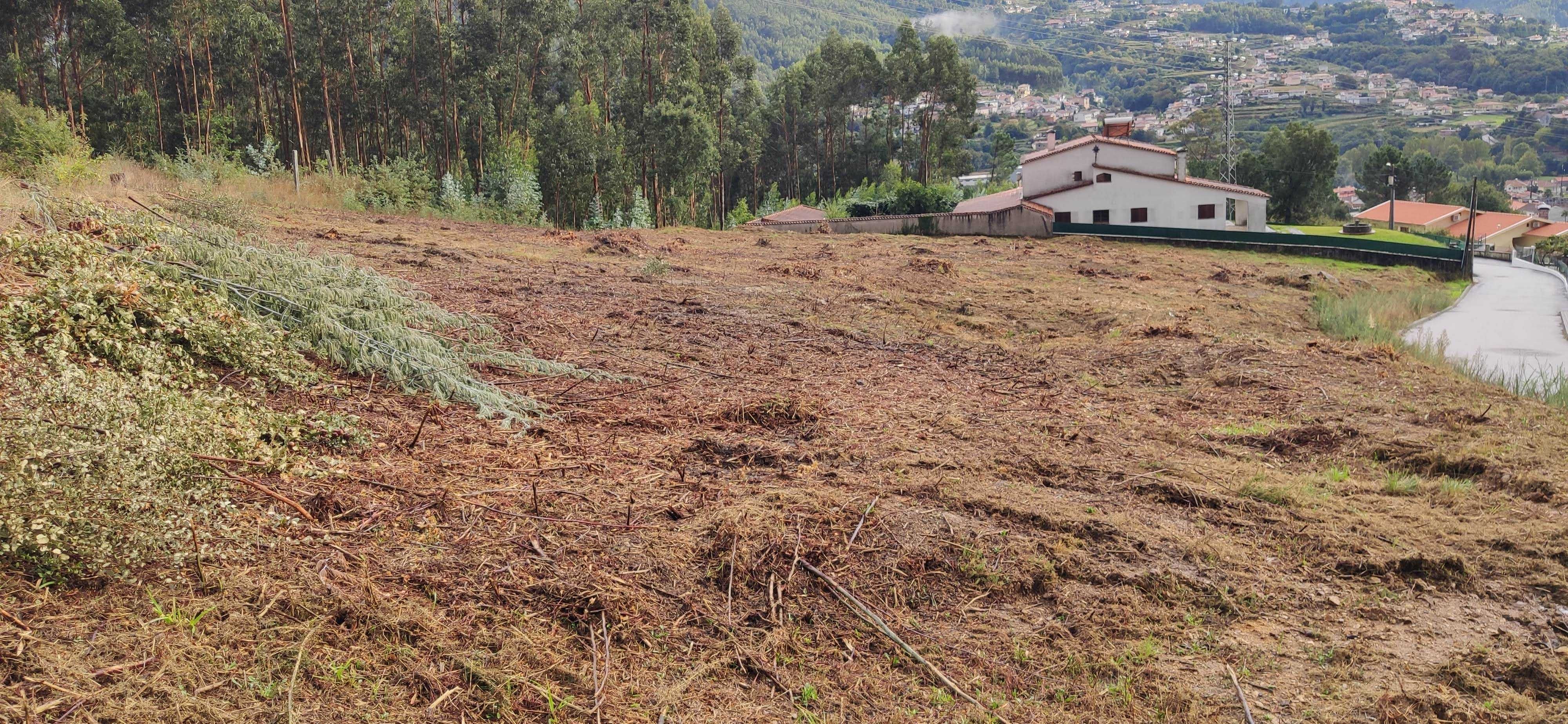 Terreno Construção várias moradias