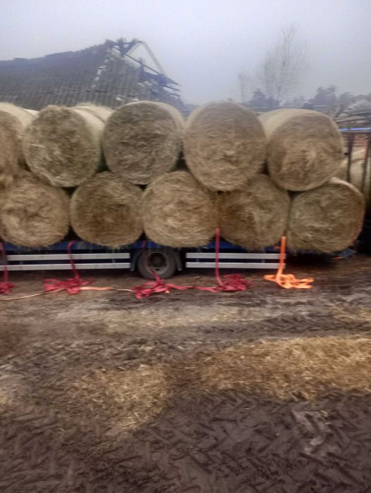 Siano w belach że stodoły