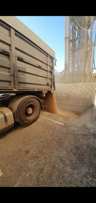 Прийомка сої на сушку