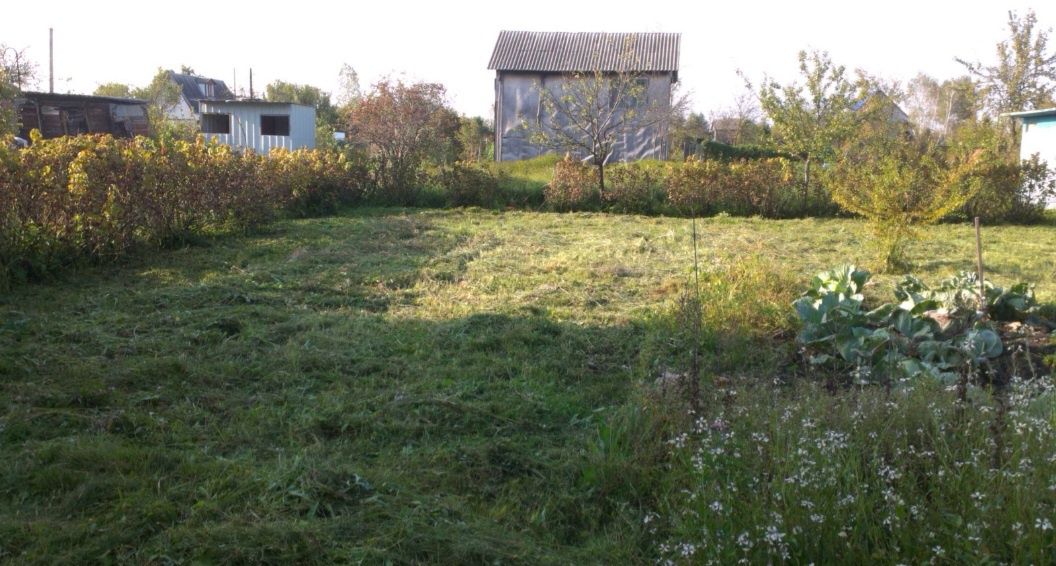 Дача з ділянкою 10 соток.
