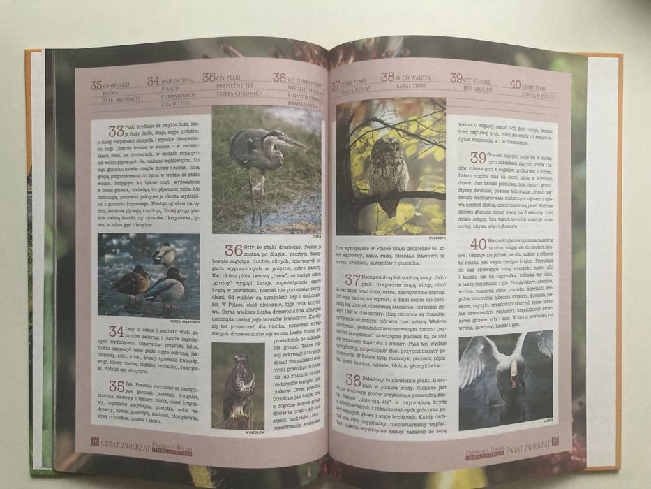 Przyroda polski - pytania i odpowiedz