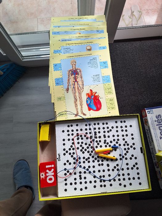 Jogos Conhece o teu corpo & Aprende inglês