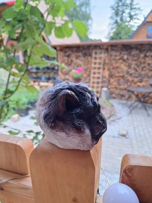 Świeca kot egzotyk Kot Perski Persian Cat 370g, duży, sojowy, handmade