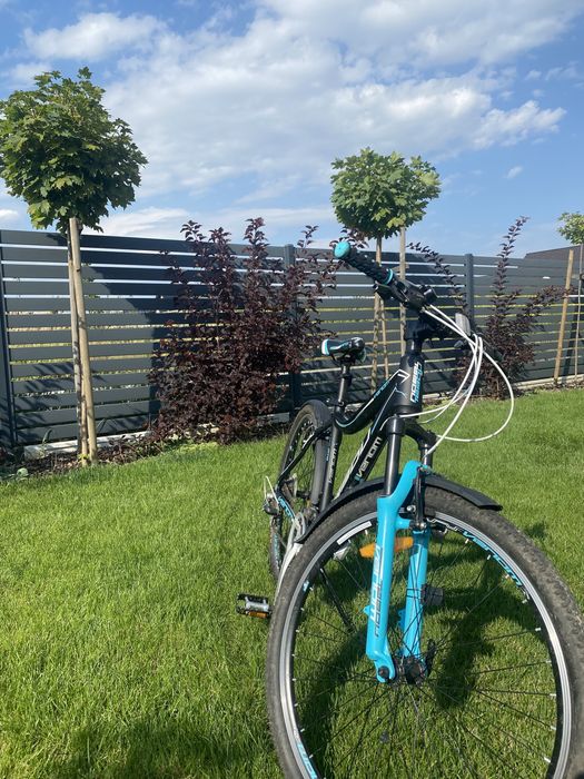 rower mtb tabou venom