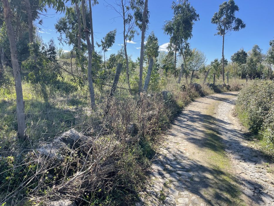 Vende se terreno rustico