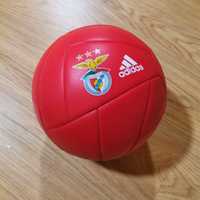 Bola de futebol Benfica